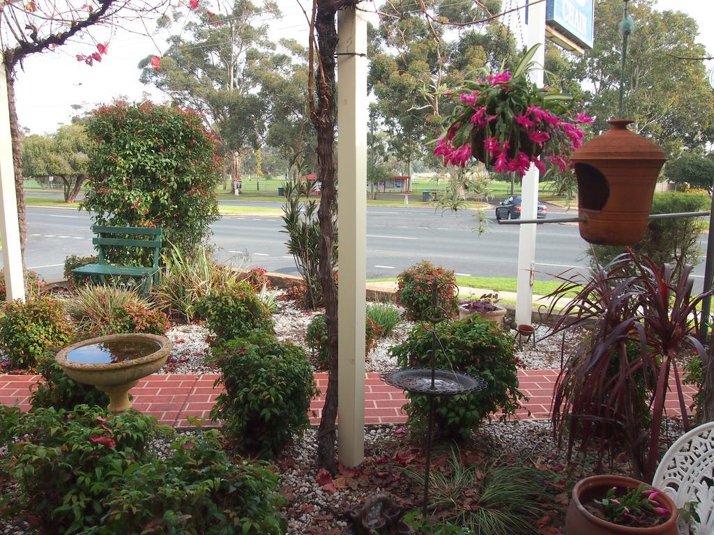 Murray River Motel Swan Hill Buitenkant foto
